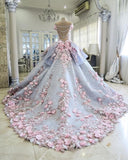 Pink Gorgeous Exquisite Floral Applique Long Tulle Ball Gown Evening Gown Wedding Dress HZ1023
