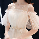 Cute champagne tulle prom dress evening dress HZ1023