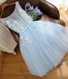 Blue tulle lace short prom dress A line homecoming dress HZ1023
