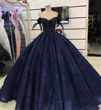Blue shiny elegant floral A-line long tulle ball gown evening dress HZ1023