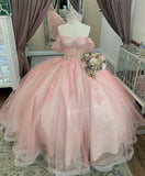 Pink Glitter Off-shoulder Crystal Applique Lace Tulle Sweet Long Ball Gown Evening Gown Adult Ceremony Dress graduation dress HZ1023