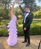 Pink Sweet Backless Long Tulle Ball Gown Evening Dress Party Dress HZ1023