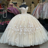 Champagne gorgeous exquisite lace applique off-shoulder long quinceanera dress 15 years old prom dress debutante dress prom dress HZ1023