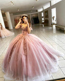Pink ball gown Prom Long Dresses Sweetheart Corset HZ1023