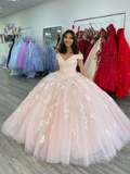 Pink Ball Gown Prom Dresses Formal Dresses HZ1023