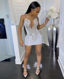 Luxurious Sequins Beaded Short Homecoming Dresses HZ1023