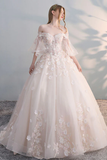 Light champagne tulle lace applique long ball gown evening dress wedding dress HZ1023