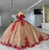 Red champagne gorgeous shiny applique long ball gown evening dress HZ1023
