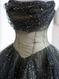Black ball gown long prom dress, black evening dress HZ1023
