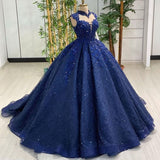 Blue shiny sequin applique beaded elegant long tulle prom dress evening dress graduation dress Quincea?era dress HZ1023