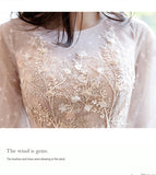 Cute tulle lace long sleeve dress evening dress HZ1023