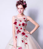 Elegant tulle applique long A line prom dress evening dress HZ1023