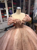 Champagne pink sweet shiny gorgeous elegant long ball gown evening dress princess adult ceremony ball gown HZ1023