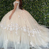 Champagne gorgeous exquisite lace applique off-shoulder long quinceanera dress 15 years old prom dress debutante dress prom dress HZ1023