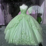Pink/purple/green sweet lace applique long tulle quinceanera dress Ball gown evening dress HZ1023